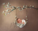 SWING WITH BLOSSOM COMP