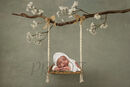 SWING WITH BOWS COMP