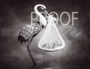 StorkCompositeBW