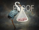 StorkComposite