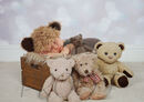 TEDDIES COMP