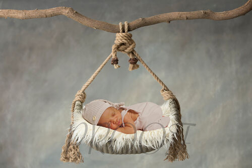 TEDDY BRANCH SWING COMP