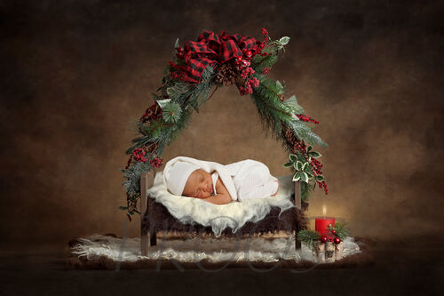 TEDDY CHRISTMAS BED COMP