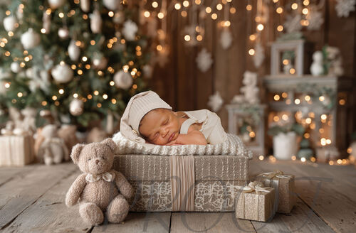 TEDDY CHRISTMAS BEIGE BOX COMP