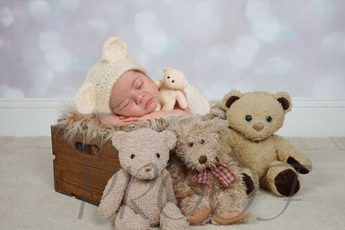 TEDDY COMP