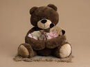 TEDDY COMP