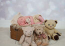 TEDDY CRATE COMP