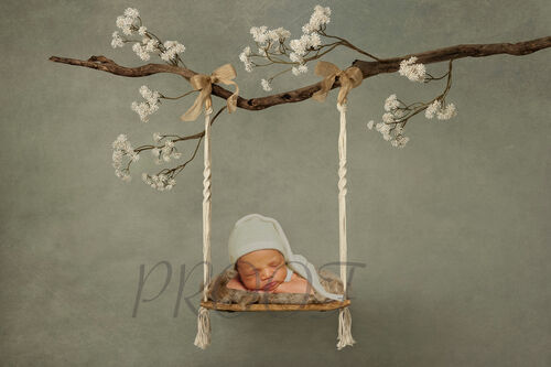 TEDDY SWING ON BRANCH BOWS COMP