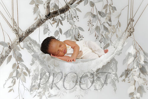 TEDDY WHITE LEAVES SWING COMP