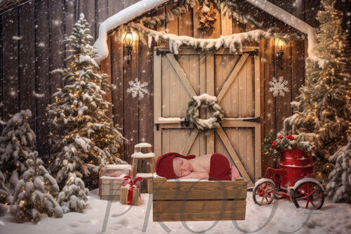 TREYVON CHRISTMAS BARN DOOR