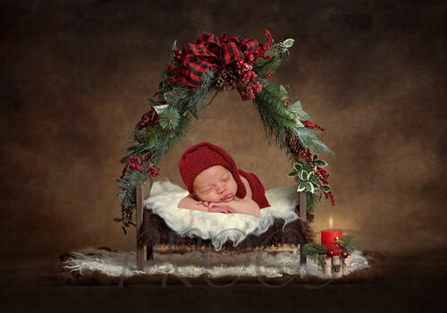 TREYVON CHRISTMAS BED