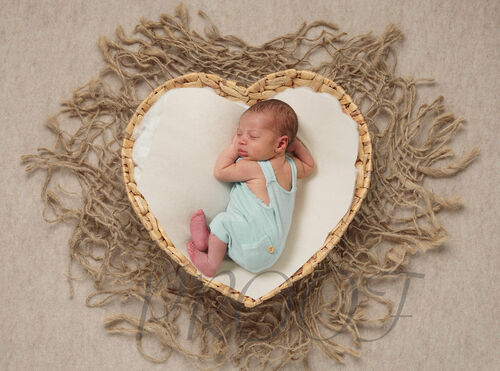 TREYVON HEART BASKET PALE GREEN