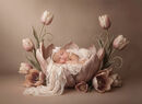 TULIP FLOWER BASKET COMP