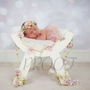 VIOLET BENCH COL COMP