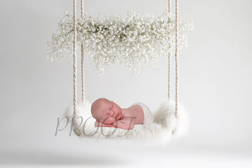 WHITE SWING BABY BREATH COMP