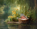 WICKER BOAT COMPVERS2