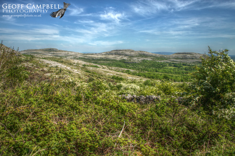 The Burren