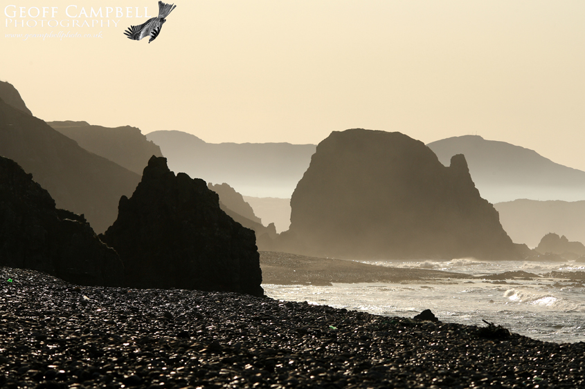 North Donegal