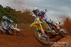 Ruling the Roost