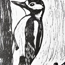 Greater-spotted Woodpecker