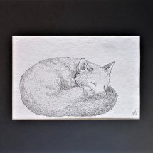 Sleeping Fox