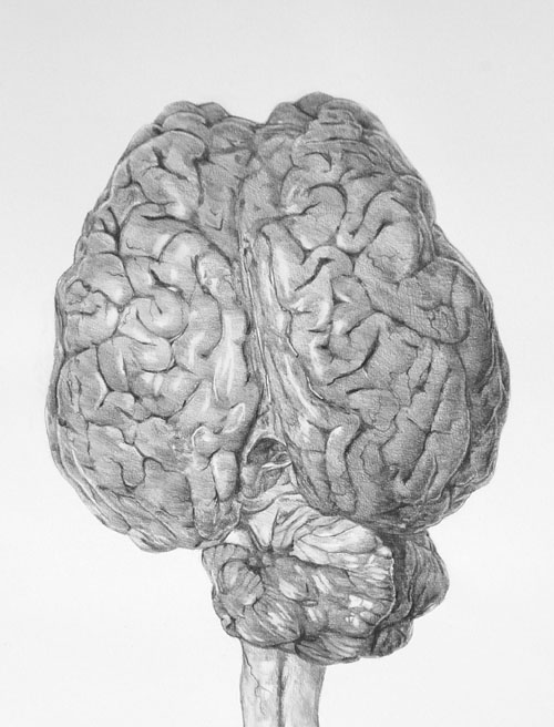 Substantia Grisea - Self Portrait detail upper