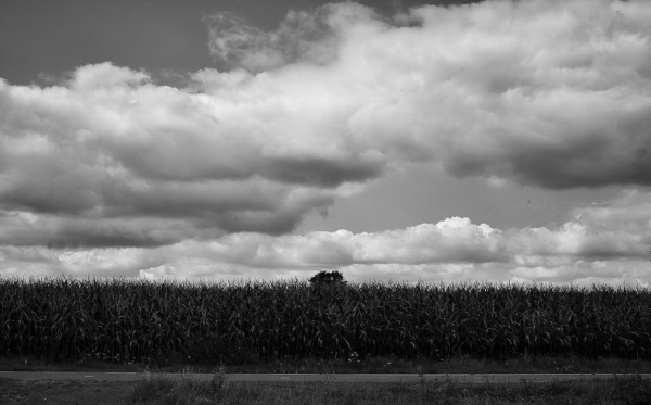 Fine Art Black and White