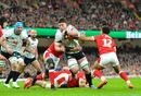 Wales v Ireland, February 2025