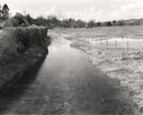 Bourne Rivulet at Hurstbourne Priors