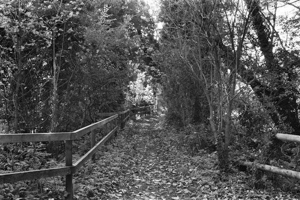 Horsebridge (2)