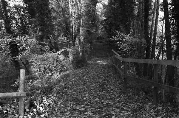 Horsebridge (1)