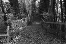 Horsebridge (1)