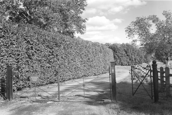 Ibthorpe