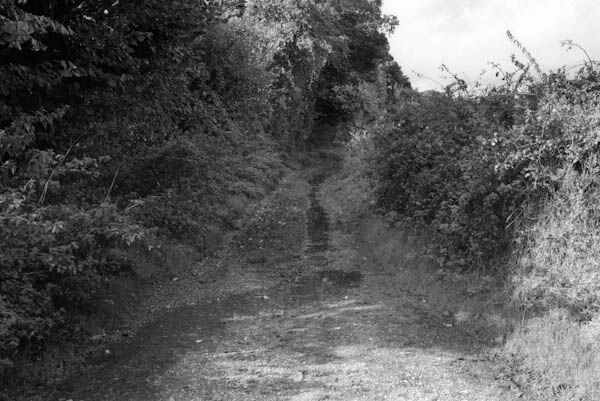 Longparish