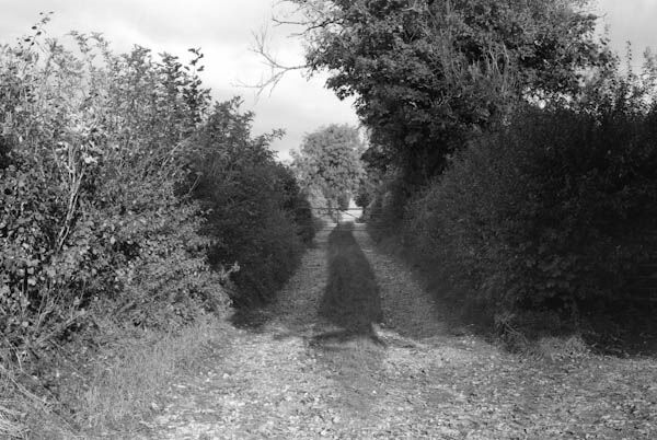 Lower Wyke