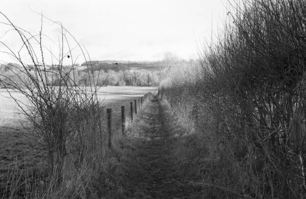 Mottisfont (1)