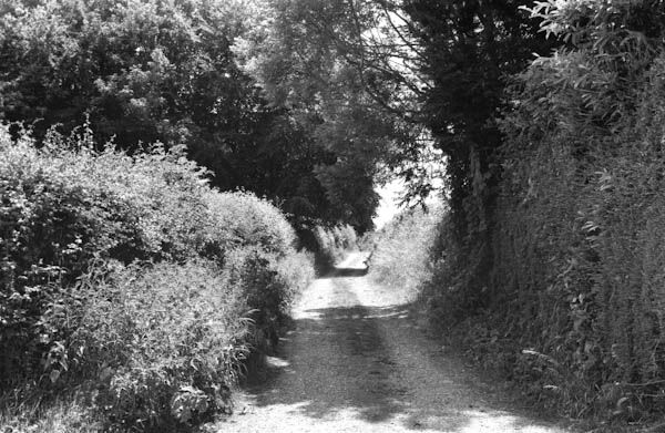 Mottisfont (2)