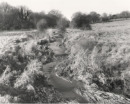 Test and Itchen