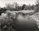 River Swift at Ibthorpe