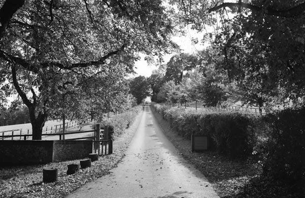 St Mary Bourne (1)