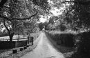St Mary Bourne (1)