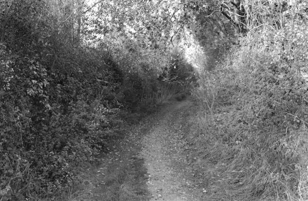 Stockbridge (1)