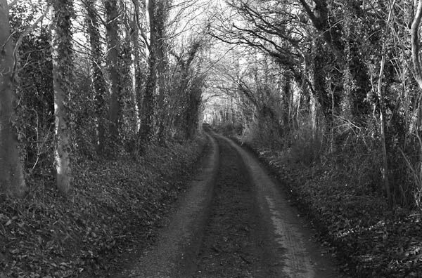 Stoke Hill (1)