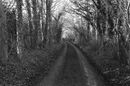 Stoke Hill (1)
