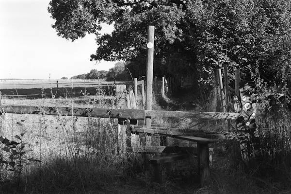 Stoke Hill (2)