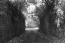 Wherwell (1)