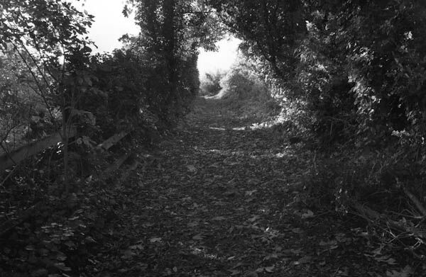 Wherwell (2)