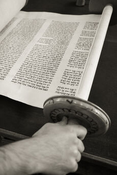 Open Torah scroll showing right-to-left handwritten Hebrew