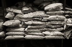 Food supplies prepared for the community langar kitchen
