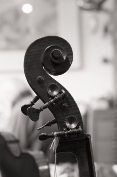 The Violineri 8